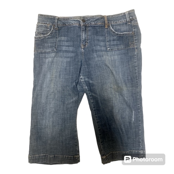 Hydraulic Capris Sz. 20 Woman’s Distressed Blue GUC - Picture 1 of 8